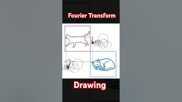 Fourier Transform Drawing #science #maths #mathematics #cat #drowing