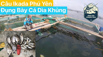Câu Ikada Sông Cầu Phú Yên Phần 8 - Đ.ụng Bầy Cá Dìa Khủng