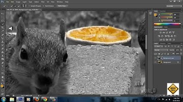 Adobe Photoshop CS6   Color Splash Effect    Beginners - Error404.
