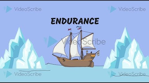 Endurance Whiteboard Animation - STEM SOS PBL Level 2 Project