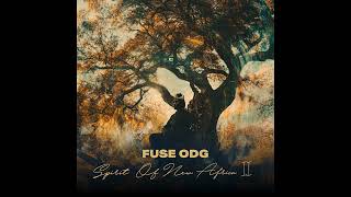 Fuse ODG - Bonfire (Official Audio)