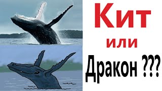 Лютые приколы! КИТ ИЛИ ДРАКОН? МЕМЫ - АНИМАЦИЯ!!! Смешные видео от Доми шоу!