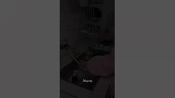 #programmer #programming #developer #website #kontenhiburan #fyp #shorts