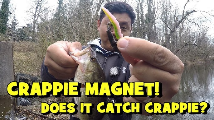 CRAPPIE MAGNET Combo!! DOES IT WORK?! Lure Review w/ EPF #1 