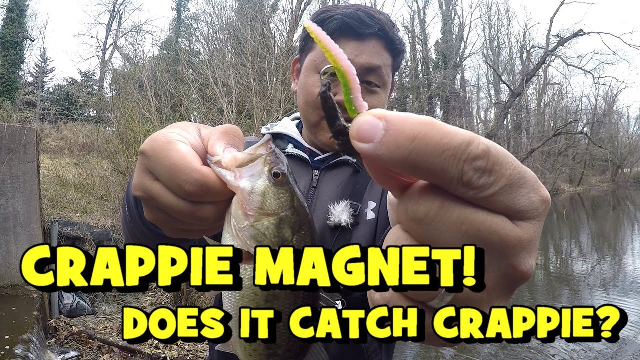 LELAND CRAPPIE MAGNET!!! Does it Catch CRAPPIE?! (NJ Crappie Fishing) 