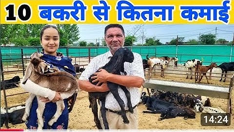 How to Start a Goat Farming Business (Complete Guide)