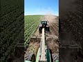 🚜 Powerful Tractor Farming in Action | Modern Agriculture🌾 Amazing Tractor Working in Field |