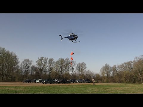 Ames Deer Monitoring