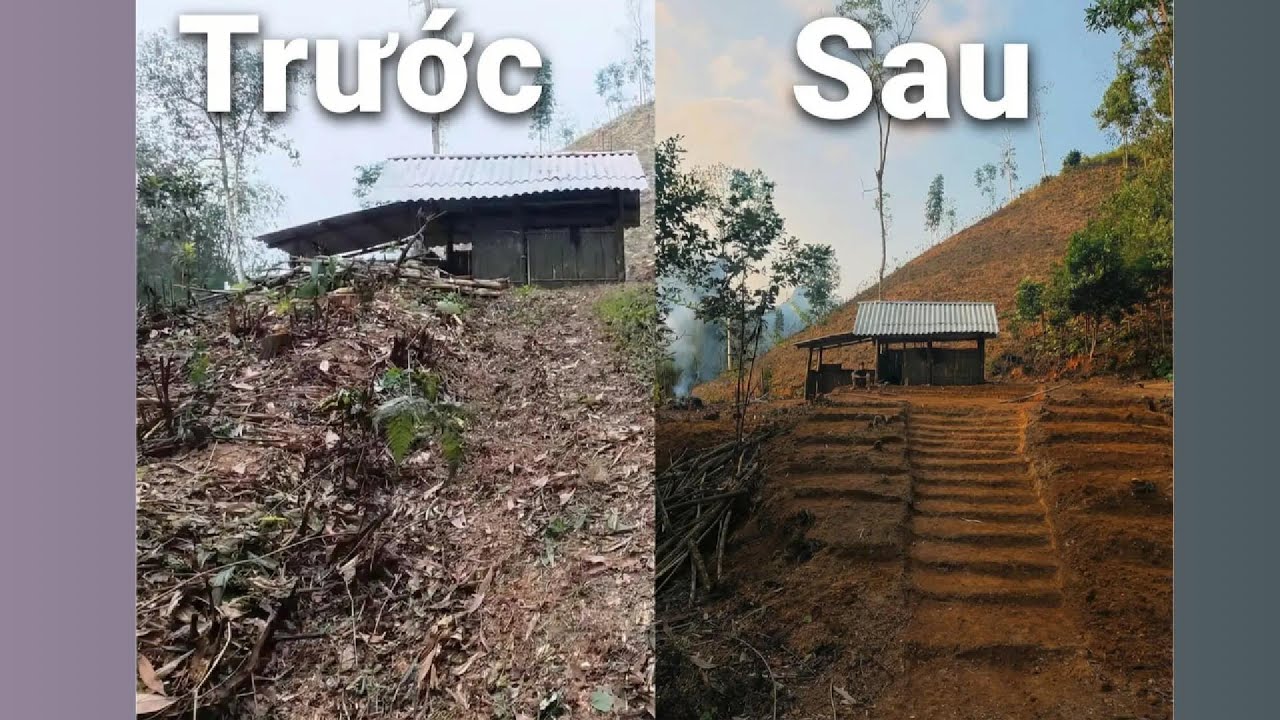 Thành Quả Sau Những Ngày Đào Đất Thủ Công Trên Đỉnh Đồi