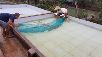 Đi Mua Cá Giống Tại Trại Cá Giống Huyện Eahleo Đắc Lắc