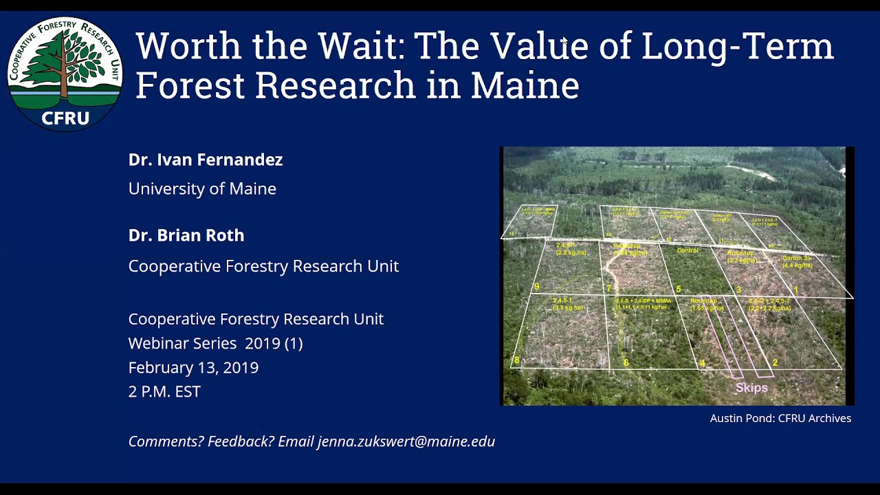 Worth the Wait: The Value of Long-Term Forest Research in Maine (CFRU 2019 webinar series #1)