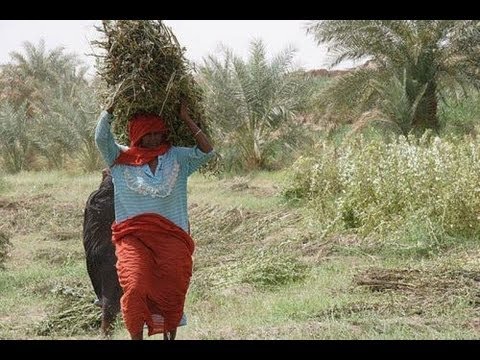 الضو وجهجهة التساب الجزء الثاني