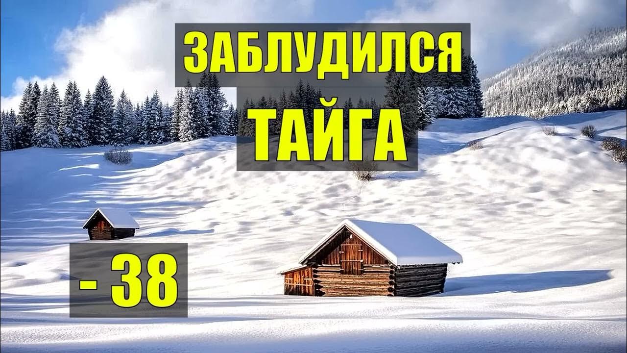 1 день в лесу. 1 день в лесу