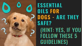 Essential Oils Safe For Dogs? (5 Guidelines  Essential Oil Safety)