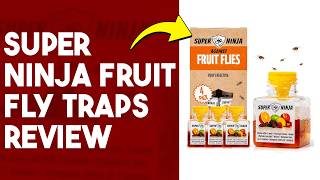 Super Ninja Fruit Fly Traps Review: Do They Really Work?