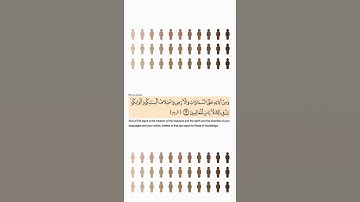 سوره الروم بصوت الشيخ فارس عباد