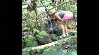 LWS Puerto Rico Part 1