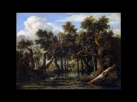 Jacob van Ruysdael