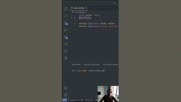 Типы данных JavaScript ч.4 | Null, undefined. 🎁 в закрепленном комментарии