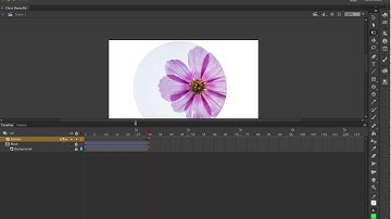 Animate: Advanced Movie Clips & Actionscript Basics