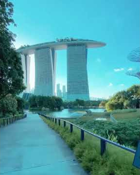 Morning stroll in Singapore. 🍃 ? @arunr_20 - music: Juli Silberberg•Memories