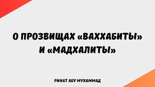 1144. О прозвищах «ваххабиты» и «мадхалиты»