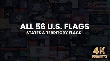 All US State Flags Collage  | American State Flags