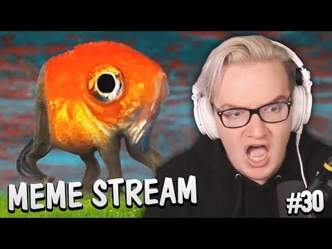 don't-ask,-just-watch-(meme-stream-#30)