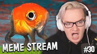 Dont Ask, Just Watch (Meme Stream #30)