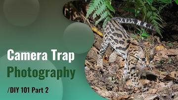 Camera Trap Photography 101 | DSLR Camera Trap DIY part 2