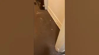 Temple University  Fraternity House Cleaning thumbnail