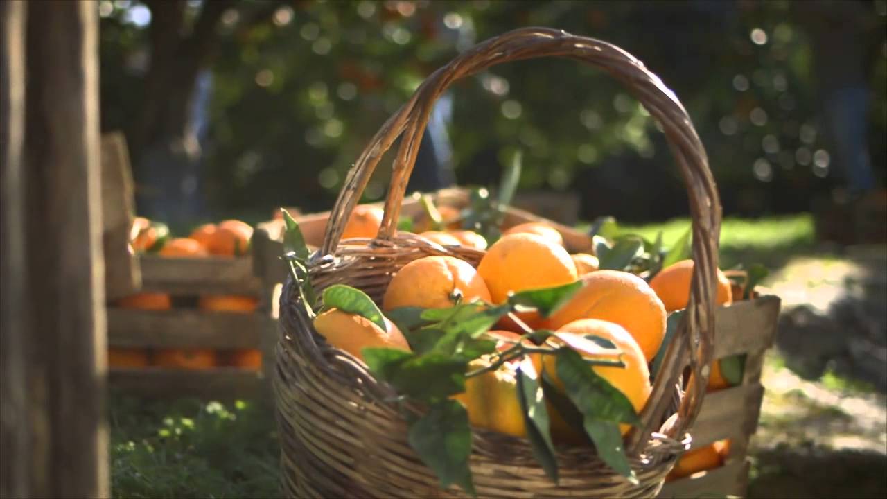 Lidl - Anch'io sogg. Freschezza