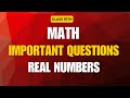 REAL NUMBERS CLASS 10TH (important questions)