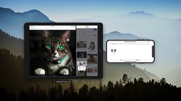 Assignment 6, Persistent Image Gallery - Stanford University, CS193P, Fall 2017