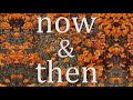 Lily Kershaw - "Now & Then"