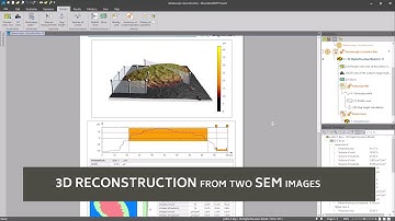 3D reconstruction from a pair of SEM images with Mountains® software