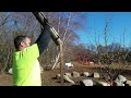 Tree Maintenance Video 2022
