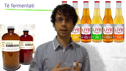 Dove si trovano i probiotici e prebiotici?