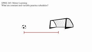 Constant and Variable Practice
