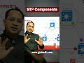 Key STP Components | Spanning Tree Protocol Basics