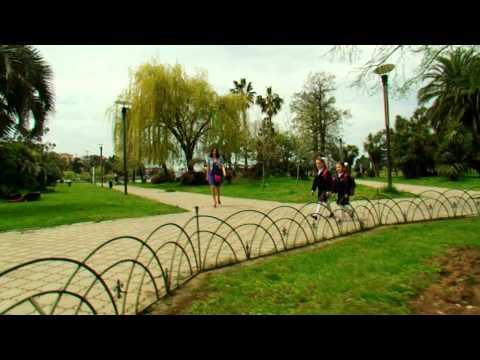 დილის ტალღა