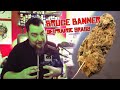 Bruce banner de prairie grass 23 thc  41 terpene shelter market review weed medical test