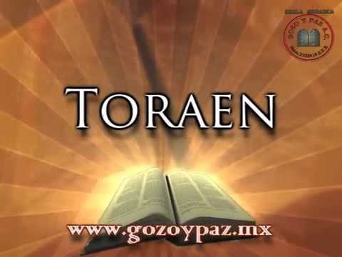 Toraen creyentes estereo picnic