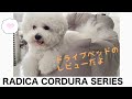 Vlog【愛犬】評判の良いドライブベッドに、うちの子もメロメロになりました／ビションフリーゼ