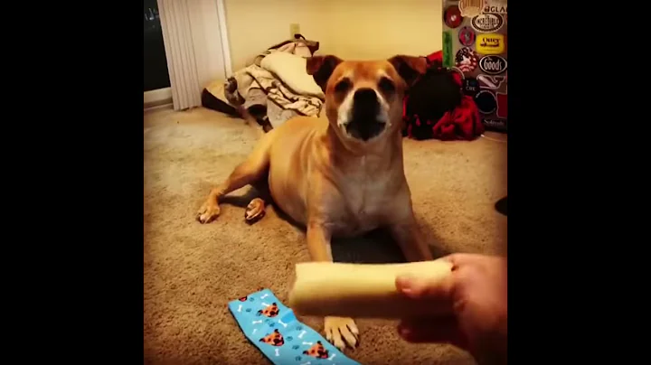teasing your girlfriend, but she always wins