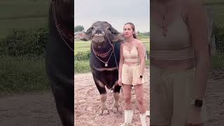 Hahah funny lady