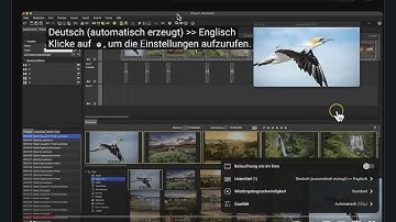 Translate the subtitles of a YouTube video into English | Wings X Tutorial