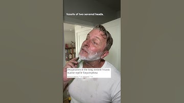 Why are these fossils decapitated?