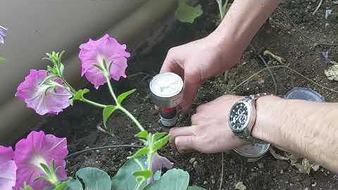 How to Use our Analog Moisture Meter (Tensiometer)