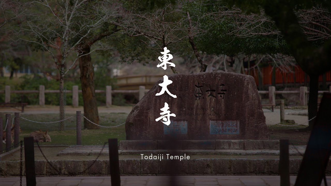 【油絵】三水公平/東大寺金堂（大仏殿）/古都奈良/真作/油彩/絵画/世界遺産 東大寺 金堂(大仏殿)の如意輪観音菩薩坐像[26095005821]の写真
